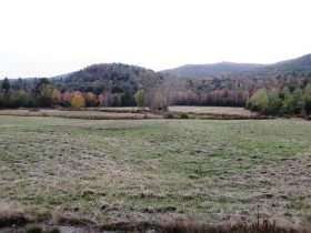 what is 1 acre of land worth in milton township maine