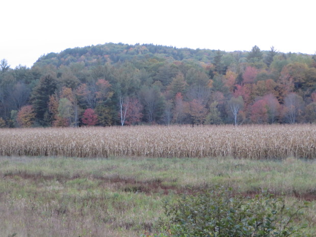 what is 1 acre of land worth in milton township maine