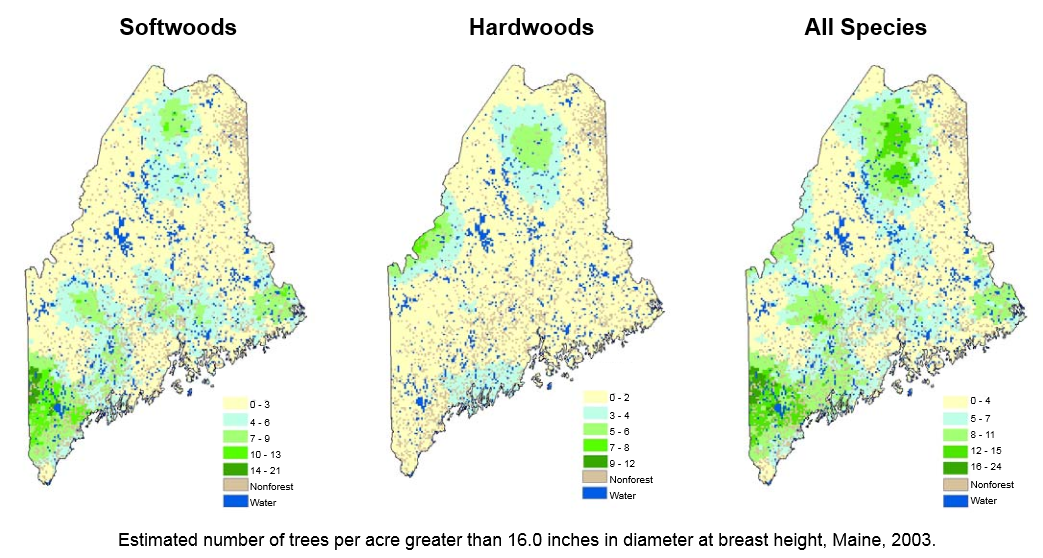 forests-of-maine-maine-an-encyclopedia