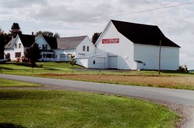 Potato Farm in Mapleton (2001)