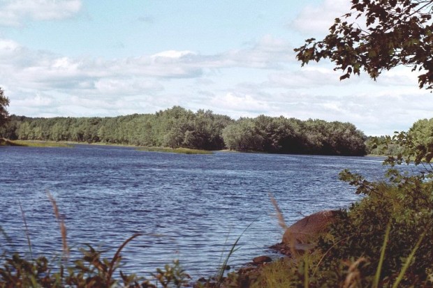 Islands in the Penobscot River at Greenbush (2001)
