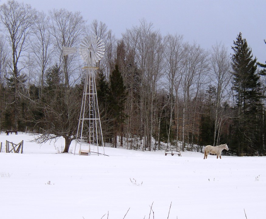 Horse in a field with windmill in Winter in Cornville (2003)