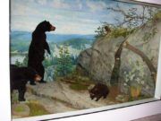 Bears and Porcupine in one of four dioramas by Klir Beck in the tunnel connecting the State House and the Cross Office Building.