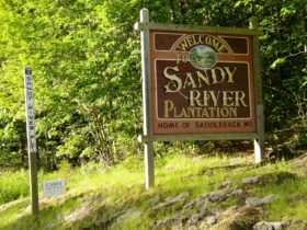 sign: "Sandy River Plantation, Home of Saddleback Mountain" and Town Line marker and a political sign (2004)