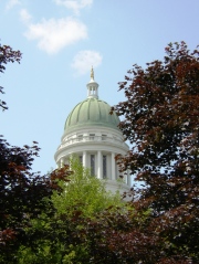 Capitol Dome from the Park (2004)