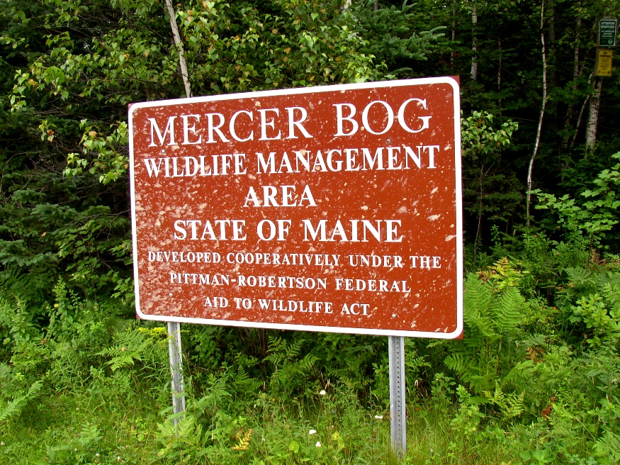 sign: "Mercer Bog, Wildlife Management Area . . . ." (2016)