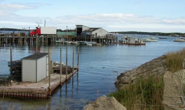 Wharf in Jonesport on Moosabec Reach (2004)