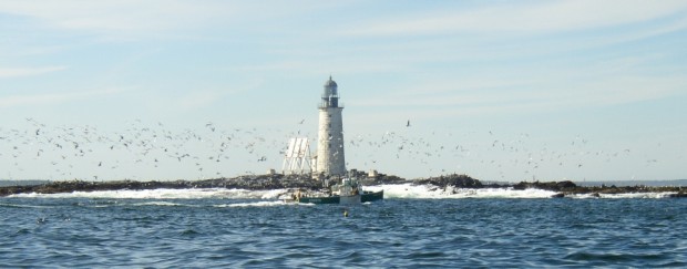 Gulls Surround Lobster Boat at Halfway Rock (2004)