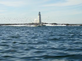 Halfway Rock Lighthouse with birds circling a lobster boat on Casco Bay (2004)