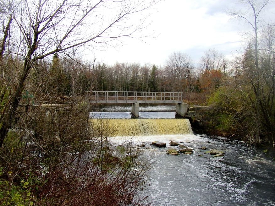 Dam near the Chesterville Wildlife Management Area (2005)