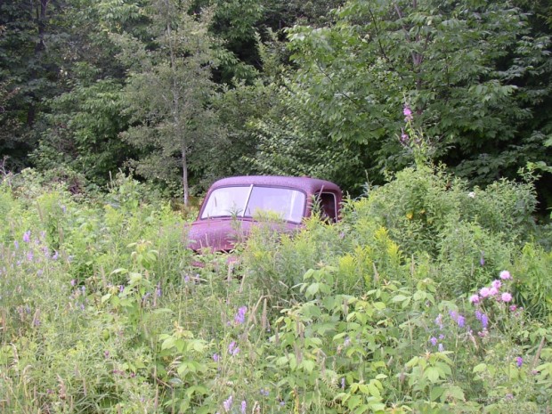 Abandoned Vehicle in the Brush and Trees (2005)