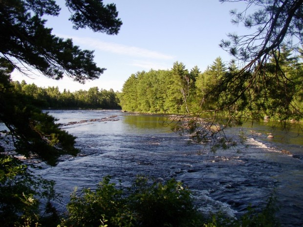 East Branch of the Penobscot River in Grindstone Township (2005)