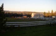 Barn with Horses at Sundown Near Belmont (2006)