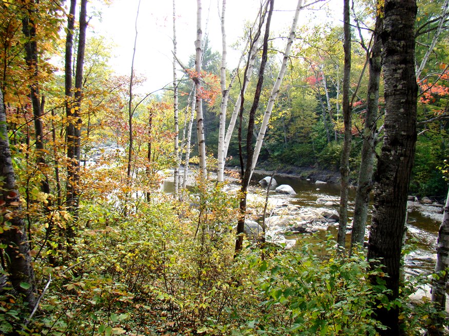 The Swift River in Roxbury from Route 17 (2007)