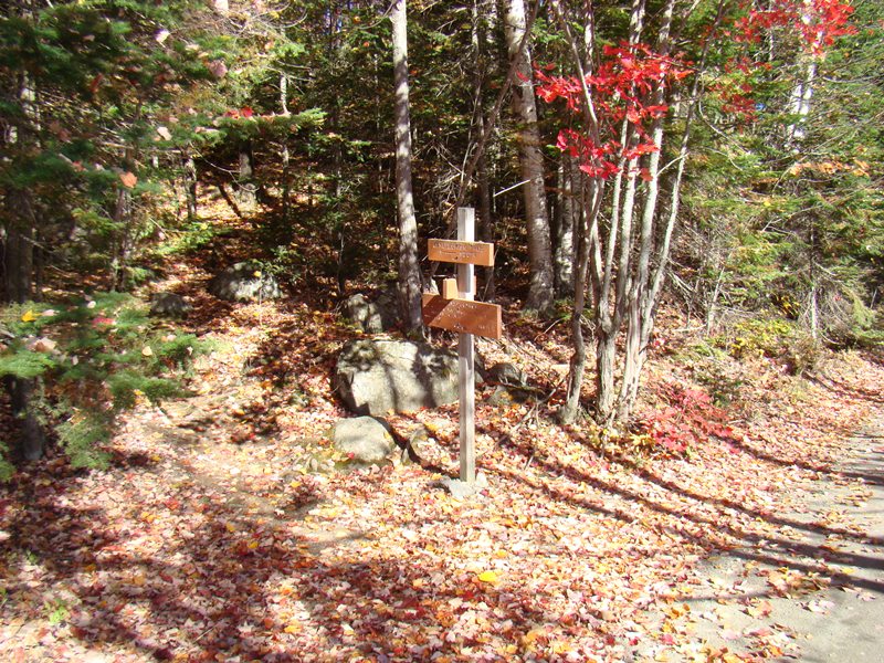 Signs at southbound Appalachian Trail Crossing at Moxie Pond (2007)