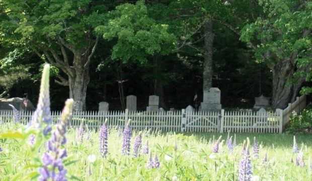 Beston-Coatsworth Cemetery (2008)