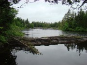 The West Branch of the Penobscot River near the Roll Dam Campsite in Seboomook Township