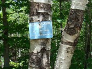 sign: "Little Jackson Trail, Pond Link Trail" (2008)