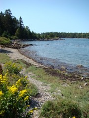 A beach on Calderwood Island near the eastern end of the Fox Islands Thoroughfare