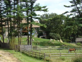 Horse and stone monuments at "Stonehouse" (2009)