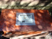 Bear Box at Speck Pond Campsite on the Appalachian Trail in Ripley (2009)