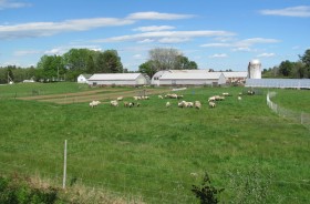 Crystal Spring Farm, 277 Pleasant Hill Road (2010)