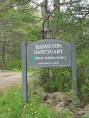 Sign: Hamilton Sanctuary