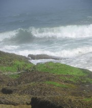 Surf Pounding the Shore at Reid State (2010)