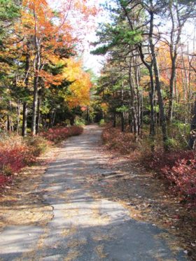 Access Road at Morse Mountain Conservation Area (2010)