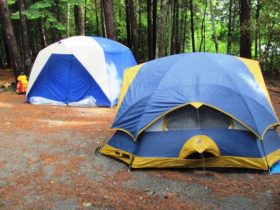 Tents at Lily Bay Campground (2011)