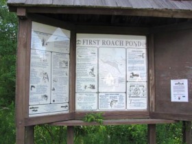 Informational Kiosk at First Roach Pond