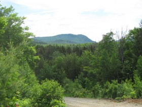 Elephant Mountain from the Access Road (2011)