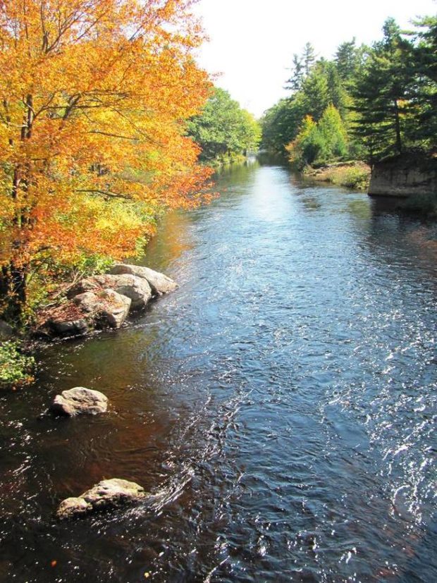Little Ossipee River between Waterboro and Limerick on Route 5 (2011)