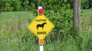 Sign: Caution Horses (2012)