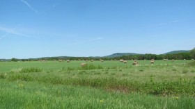 Rolled Hay in a Field on U.S. Rt. 2 (2012)