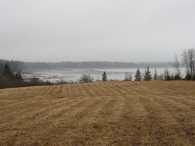 Union River Bay (2013)