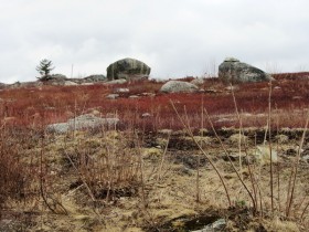 Rock Strewn Blueberry Barrens in Northwest Franklin (2013)