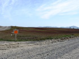 Sign Warning of Chemical Spray on Blueberry Barrens in Deblois near Route 193