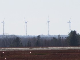 Wind Turbines in the Distance from Blueberry Barrens in Deblois near Route 193 (2014)