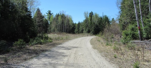 Fourth Lake Road in T6 ND BPP (2013)