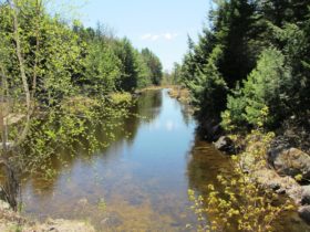 Stream linking Pocumus Lake and Wabassus Lake on the Fourth Lake Road in (2013)