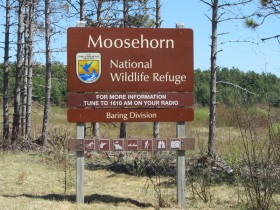 "Moosehorn National Wildlife Refuge" (2013)
