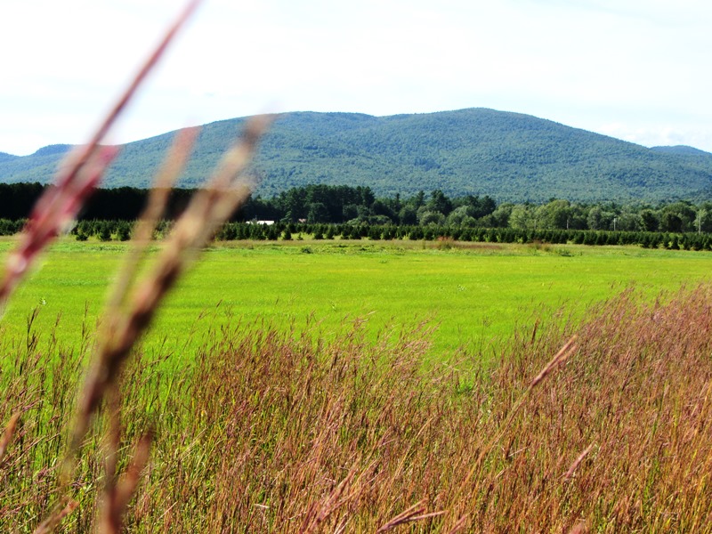 White Mountains in New Hampshire across a Field in Fryeburg on Route 113 (2013)