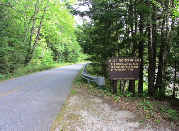 Forest Protection Area in the White Mountain National Forest on Maine Route 113, Wild River at Right (2013)