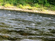 Androscoggin River in Gilead (2013)