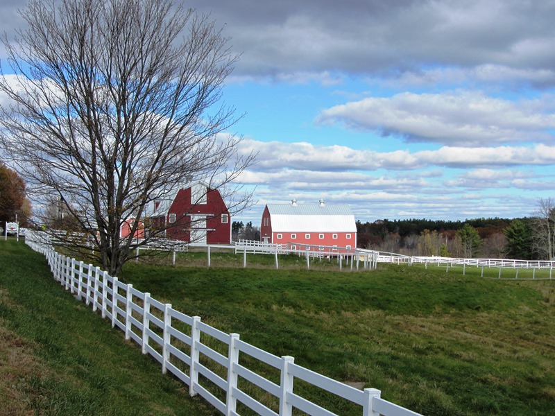 Pineland Farms near the Intervale Road in New Gloucester (2013)
