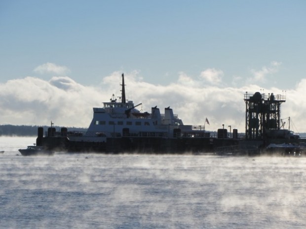 Sea Smoke at the Ferry Terminal in Lincolnville (2013)