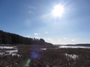 Wetlands at Fisher Eddy on the Kennebec River (2014)