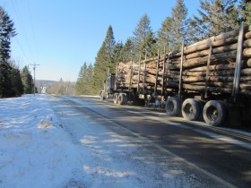 Route 6, a freeway for logging trucks (2014)