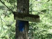 Sign: "Rapids Trail"